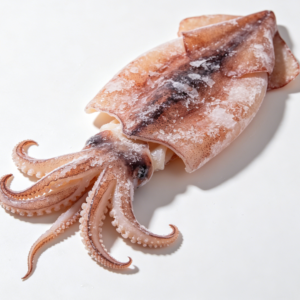 Frozen squid